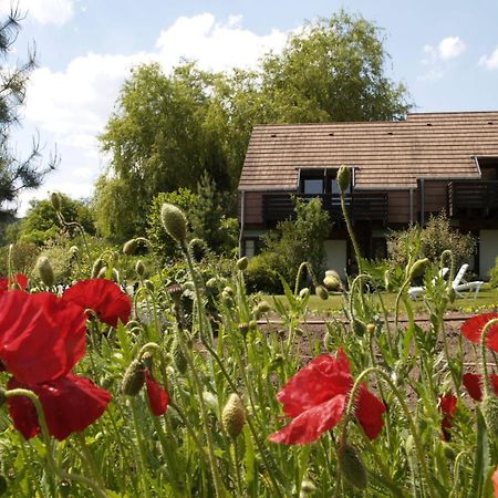 Alsace Village Obersteinbach Екстериор снимка