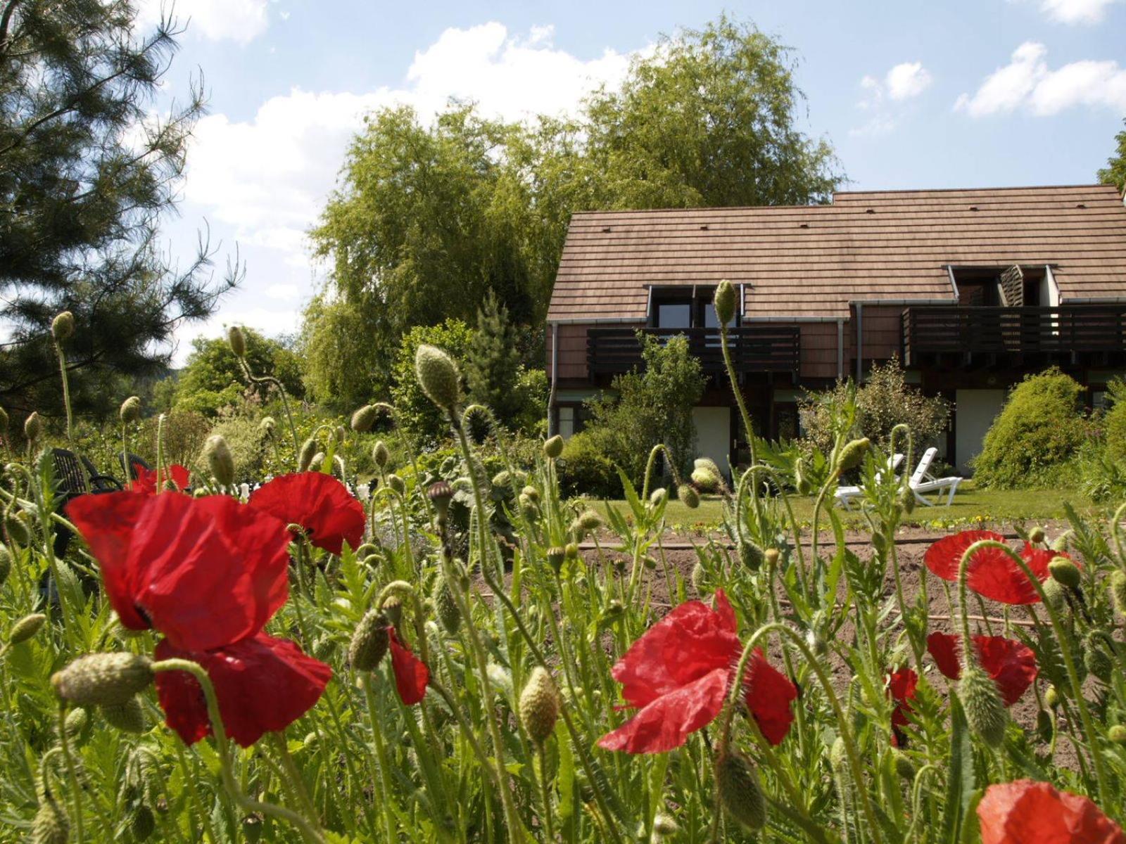 Alsace Village Obersteinbach Екстериор снимка